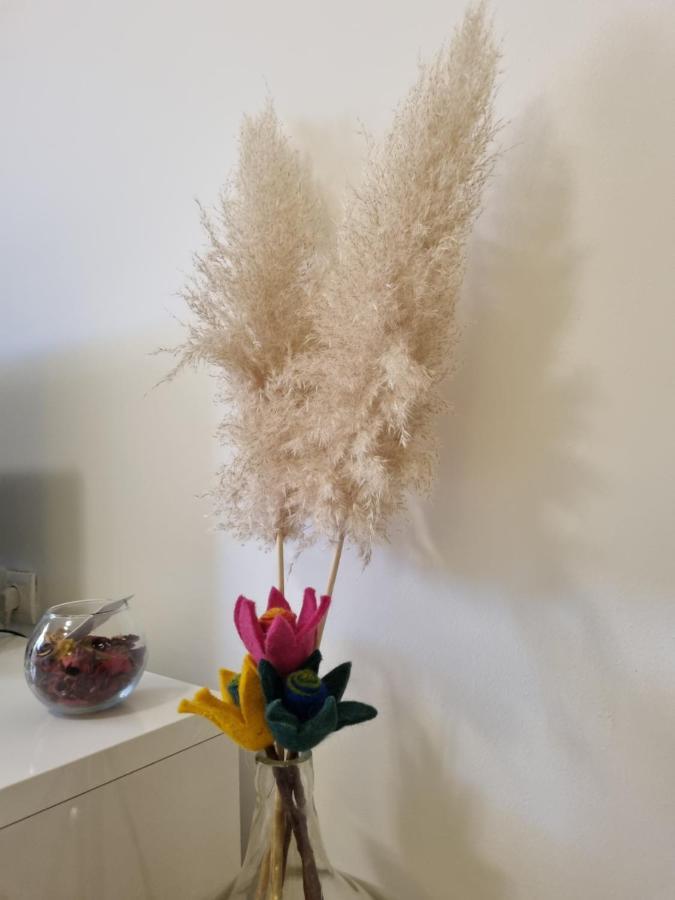 Apartment Rajci ツレス エクステリア 写真